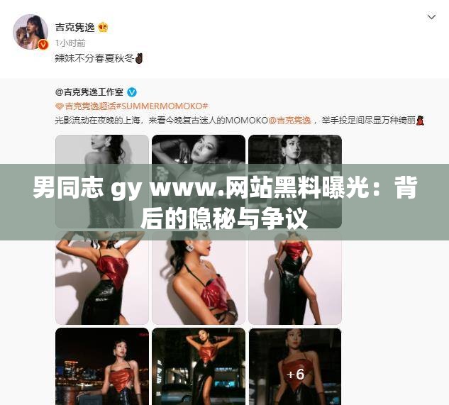 男同志 gy www.网站黑料曝光：背后的隐秘与争议