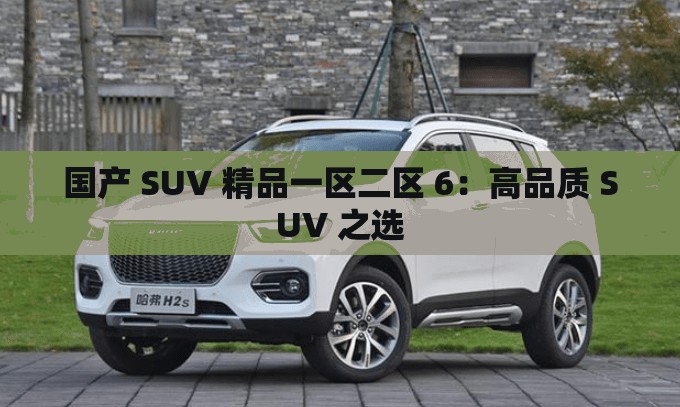 国产 SUV 精品一区二区 6：高品质 SUV 之选