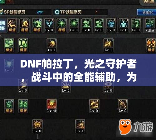 DNF帕拉丁，光之守护者，战斗中的全能辅助，为队友提供全方位支援