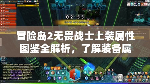 冒险岛2无畏战士上装属性图鉴全解析，了解装备属性，提升战斗能力