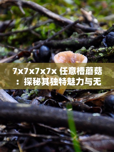 7x7x7x7x 任意槽蘑菇 ：探秘其独特魅力与无限可能