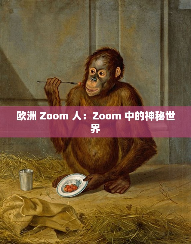 欧洲 Zoom 人：Zoom 中的神秘世界