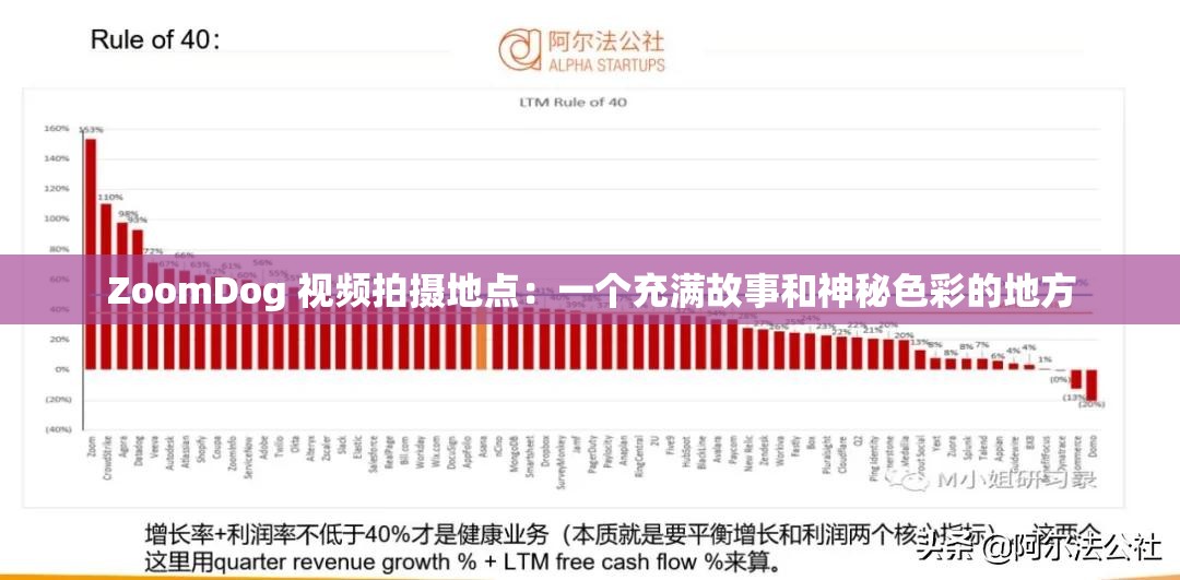 ZoomDog 视频拍摄地点：一个充满故事和神秘色彩的地方