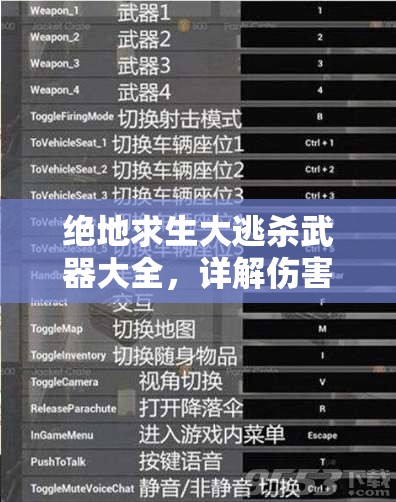 绝地求生大逃杀武器大全，详解伤害属性，探索游戏资源管理重要性及高效利用策略