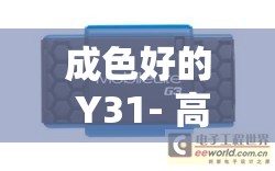 成色好的 Y31- 高品质带来卓越体验的超值之选