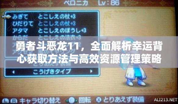 勇者斗恶龙11，全面解析幸运背心获取方法与高效资源管理策略