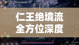 仁王绝境流全方位深度解析，玩法技巧、资源管理策略及避免浪费以最大化战斗价值