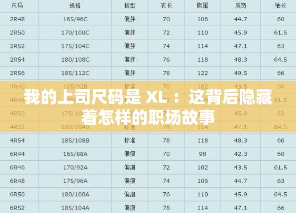 我的上司尺码是 XL ：这背后隐藏着怎样的职场故事