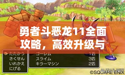 勇者斗恶龙11全面攻略，高效升级与游戏快速升级方法深度解析