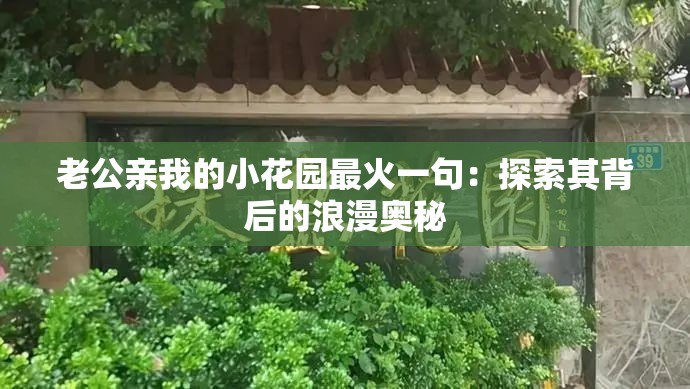 老公亲我的小花园最火一句：探索其背后的浪漫奥秘