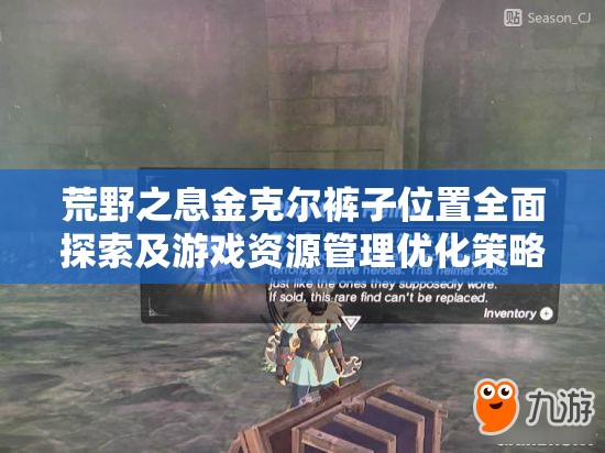 荒野之息金克尔裤子位置全面探索及游戏资源管理优化策略