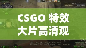 CSGO 特效大片高清观看韩国版：枪林弹雨，热血激战