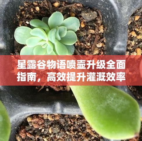 星露谷物语喷壶升级全面指南，高效提升灌溉效率与资源管理技巧