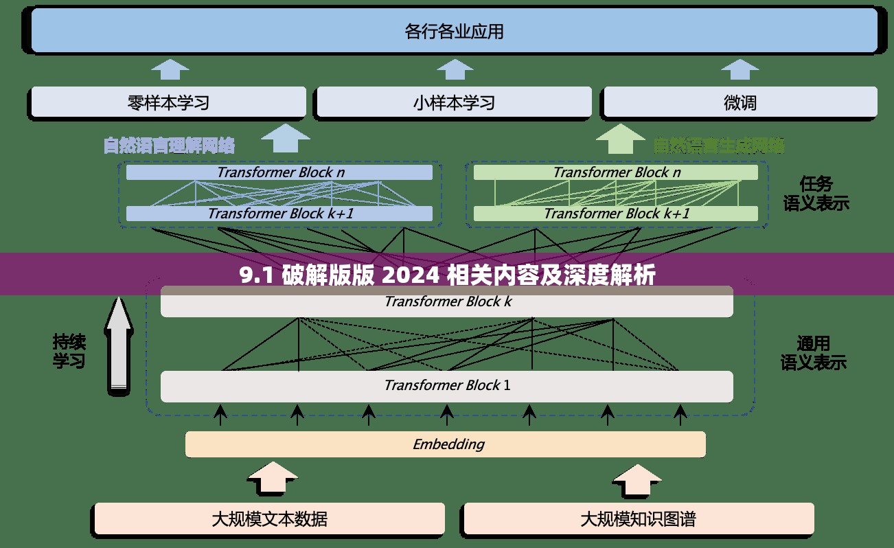 9.1 破解版版 2024 相关内容及深度解析