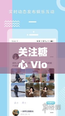 关注糖心 VIog 官方网站：分享精彩视频，体验甜蜜时光