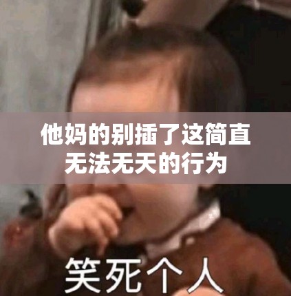 他妈的别插了这简直无法无天的行为