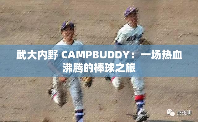 武大内野 CAMPBUDDY：一场热血沸腾的棒球之旅