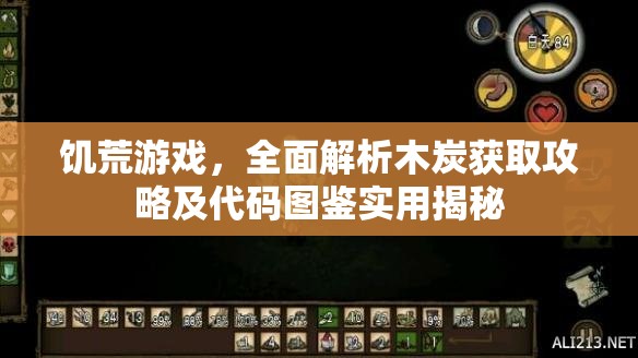 饥荒游戏，全面解析木炭获取攻略及代码图鉴实用揭秘