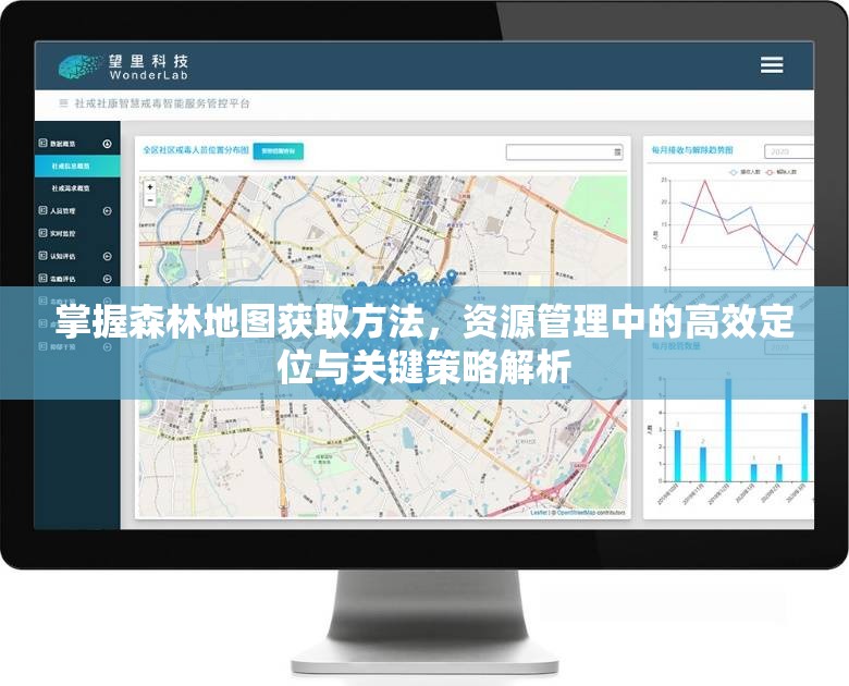 掌握森林地图获取方法，资源管理中的高效定位与关键策略解析