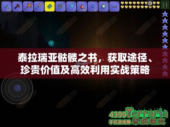 泰拉瑞亚骷髅之书，获取途径、珍贵价值及高效利用实战策略