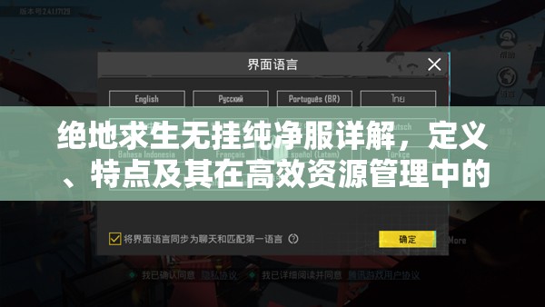 绝地求生无挂纯净服详解，定义、特点及其在高效资源管理中的重要性