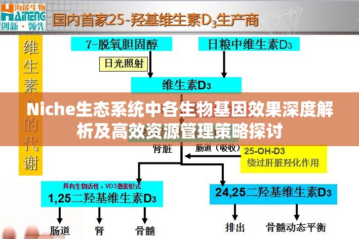 Niche生态系统中各生物基因效果深度解析及高效资源管理策略探讨