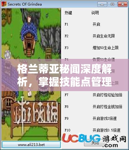 格兰蒂亚秘闻深度解析，掌握技能点管理与高效修改的艺术