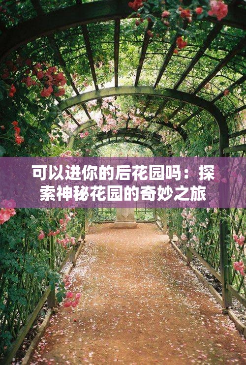 可以进你的后花园吗：探索神秘花园的奇妙之旅