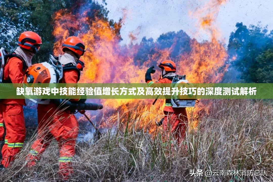 缺氧游戏中技能经验值增长方式及高效提升技巧的深度测试解析