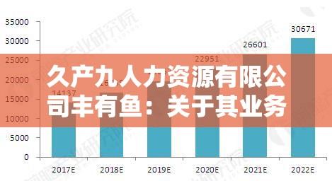 久产九人力资源有限公司丰有鱼：关于其业务发展与前景展望