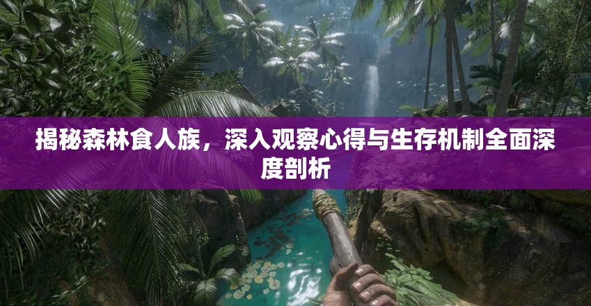 揭秘森林食人族，深入观察心得与生存机制全面深度剖析