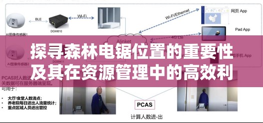 探寻森林电锯位置的重要性及其在资源管理中的高效利用策略解析