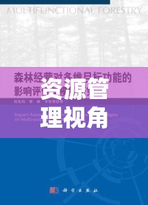 资源管理视角下的森林探险，策略与实践，以找回主角儿子为目标