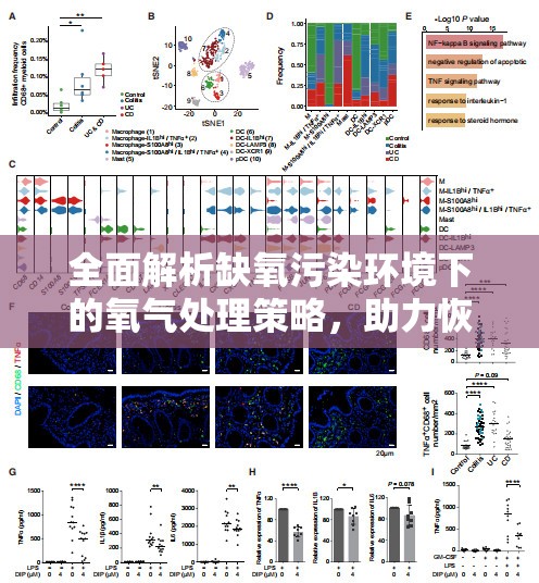 全面解析缺氧污染环境下的氧气处理策略，助力恢复清新室内空气