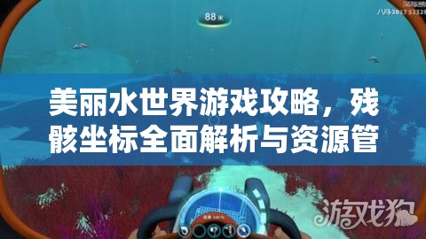 美丽水世界游戏攻略，残骸坐标全面解析与资源管理效率优化指南