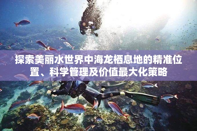 探索美丽水世界中海龙栖息地的精准位置、科学管理及价值最大化策略