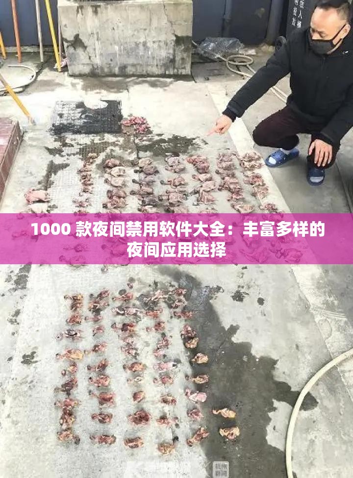 1000 款夜间禁用软件大全：丰富多样的夜间应用选择