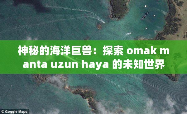 神秘的海洋巨兽：探索 omak manta uzun haya 的未知世界