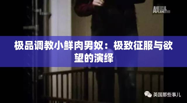 极品调教小鲜肉男奴：极致征服与欲望的演绎