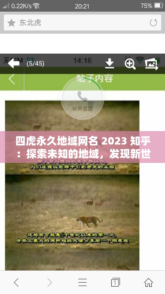 四虎永久地域网名 2023 知乎：探索未知的地域，发现新世界