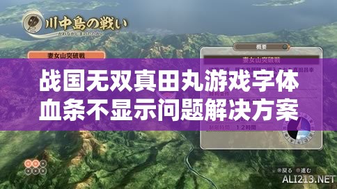 战国无双真田丸游戏字体血条不显示问题解决方案大揭秘！