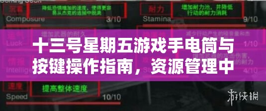 十三号星期五游戏手电筒与按键操作指南，资源管理中的重要性及实施高效策略