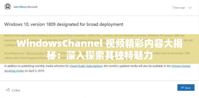 WindowsChannel 视频精彩内容大揭秘：深入探索其独特魅力