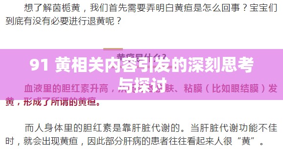 91 黄相关内容引发的深刻思考与探讨