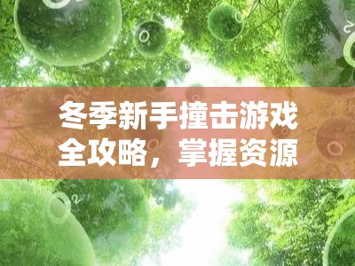 冬季新手撞击游戏全攻略，掌握资源管理技巧，轻松玩转冰雪挑战