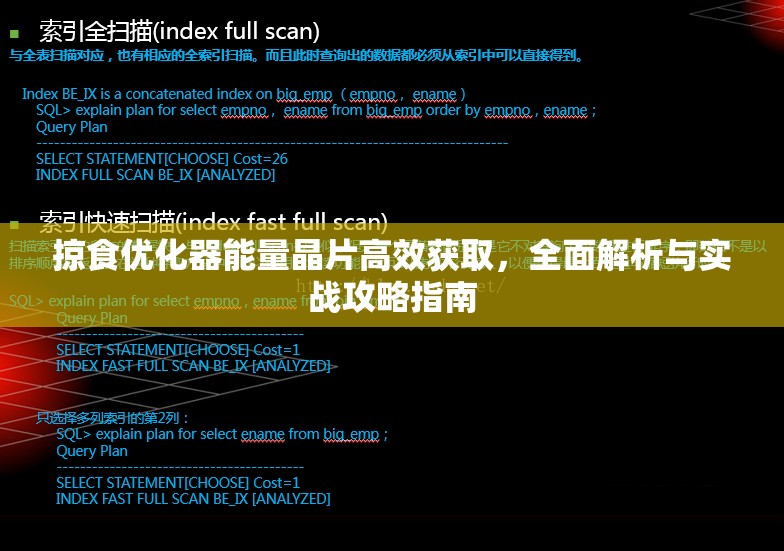 掠食优化器能量晶片高效获取，全面解析与实战攻略指南
