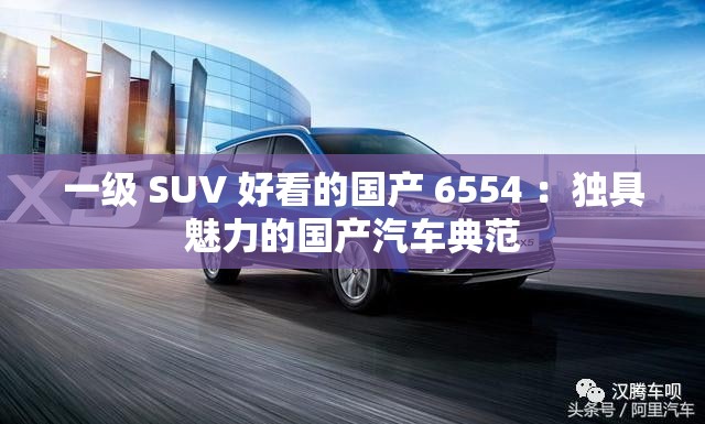 一级 SUV 好看的国产 6554 ：独具魅力的国产汽车典范