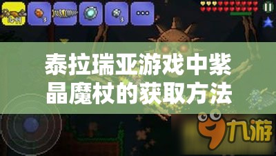 泰拉瑞亚游戏中紫晶魔杖的获取方法与神秘法杖的用途全面揭秘