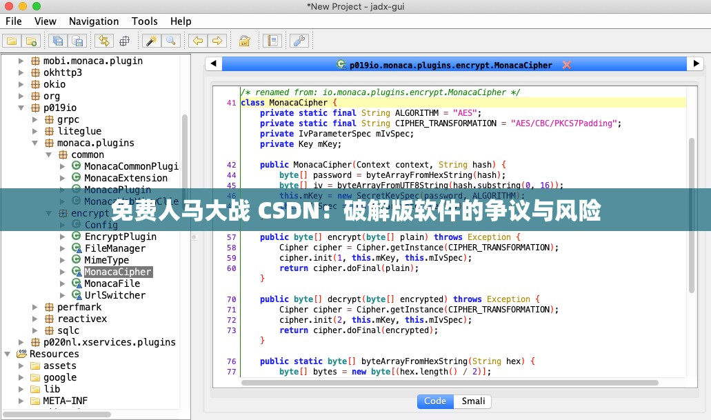 免费人马大战 CSDN：破解版软件的争议与风险