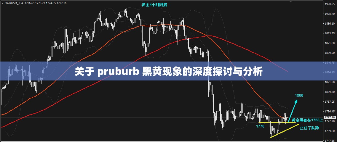 关于 pruburb 黑黄现象的深度探讨与分析